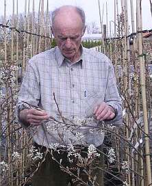 André De Bock met zijn lievelingsplant